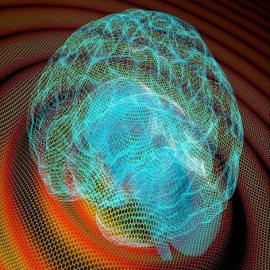Transhumanismo: a qué abren la puerta los implantes cerebrales de la empresa de Elon Musk