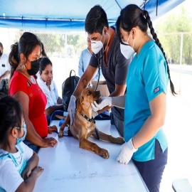 La Feria de la Salud brinda atención integral a los habitantes de Chalmuch