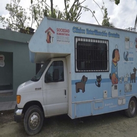 Cozumel: Falta de donativos frena clínica móvil de mascotas
