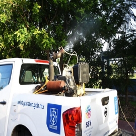 Mantiene SSY acciones permanentes contra el dengue