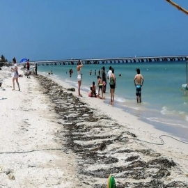 “Alegre” cierre de vacaciones de verano en Progreso