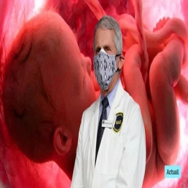 Desvelan aberrantes experimentos con humanos víctimas de aborto
