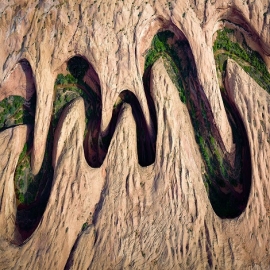 National Geographic premió las mejores fotos de la naturaleza de 2017
