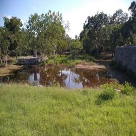 Yucatán: Se desbordó cenote de Dzibilchaltún por Delta; seguirá cerrado al público