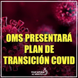 EN FEBRERO A “FASE DE CONTROL”