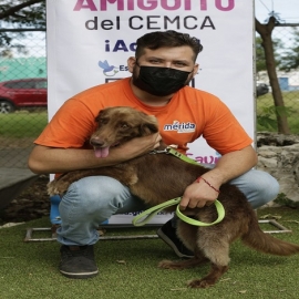 El Ayuntamiento siempre buscando mejores estrategias para cuidar y proteger a la fauna del municipio