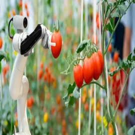 El futuro de la comida: si no lo impedimos, las ‘claves’del sistema alimentario se entregarán a las grandes tecnologías