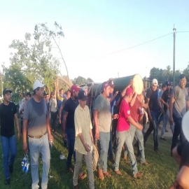 Realizan el corte tradicional del árbol de ceibo en Kantunilkín