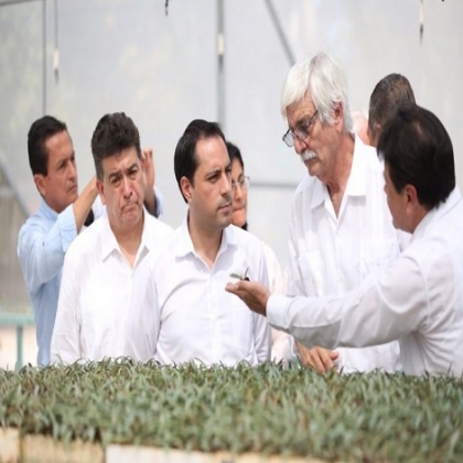 La próxima semana comenzarán los trabajos para rehabilitar el distribuidor vial