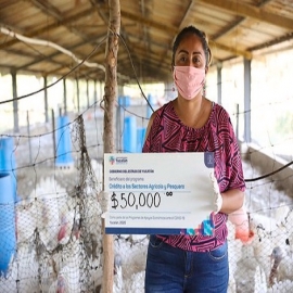 Con apoyo del Gobierno del Estado, pequeños productores del campo yucatecos mantienen sus negocios y protegen los empleos