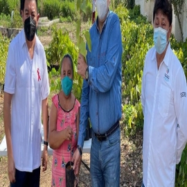 El Gobierno del Mauricio Vila Dosal impulsa el cultivo del achiote, como una opción más para mejorar la economía de las familias yucatecas