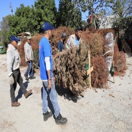 Renán Barrera fortalece el sistema de infraestructura verde en el Municipio