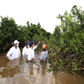 No podemos abandonar, ni dejar a su suerte a los miles de campesinos yucatecos afectados por “Amanda” y “Cristóbal”: Gobernador Mauricio Vila Dosal