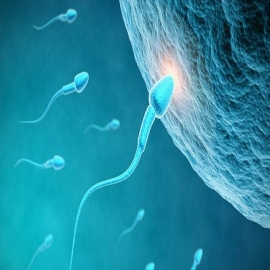 Las vacunas contra covid-19 podrían afectar la fertilidad