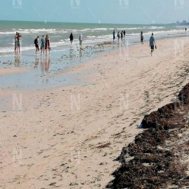 Mar de Progreso se aleja unos 40 metros del malecón