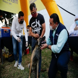 Ayuntamiento de Mérida ofrece amplía oferta de servicios de salud para la población