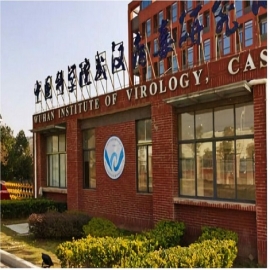Nuevo informe sugiere que COVID fue liberado deliberadamente durante los Juegos Militares de 2019 en China