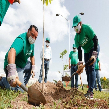 Avanza a buen ritmo la Cruzada Forestal gracias al apoyo de las y los ciudadanos