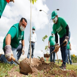 Avanza a buen ritmo la Cruzada Forestal gracias al apoyo de las y los ciudadanos
