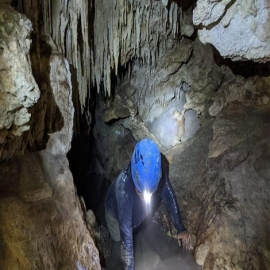 Dan prioridad a saneamiento de cenotes en Playa del Carmen