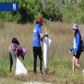 ¡Visitantes "cochinos"! recogen casi cinco mil toneladas de desechos en Progreso