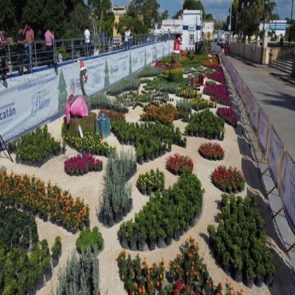 El atractivo Paseo Navideño de las Flores llega a Hunucmá