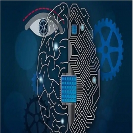 Científicos reciben fondos para fusionar células cerebrales humanas con chips de computadora