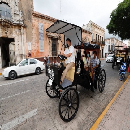 Las calesas eléctricas permitirán alternativas turísticas innovadoras y un mayor bienestar de la fauna en el Municipio