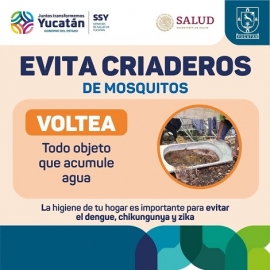 La Secretaría de Salud de Yucatán mantiene acciones preventivas contra el dengue