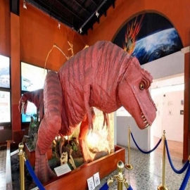 Mérida: Esperan incremento de visitantes al Museo de Historia Natural
