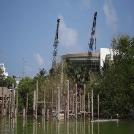 Cancún: Se lavan las manos por obras que devastan manglar en zona hotelera