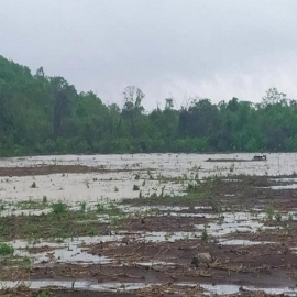Yucatán: productores del campo necesitan de apoyos para levantarse
