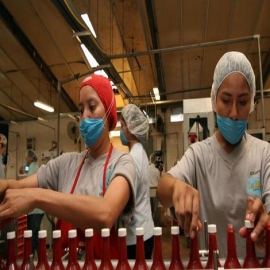 Buscan agregar el estrés a la Tabla de Enfermedades del Trabajo en Yucatán