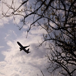 Estiman que el 40% de los viajeros esperarán 6 meses o más para volar tras pandemia de COVID-19