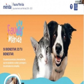 Yucatán: Crean página Fauna Mérida para concentrar los servicios a favor de las mascotas