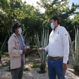 Entregan abejas reina a apicultores yucatecos de municipios afectados por el huracán Grace