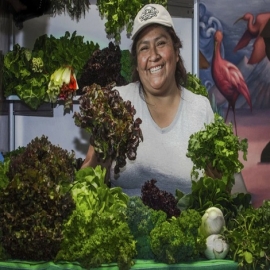 Agricultura familiar, oportunidad para seguridad alimentaria: FAO