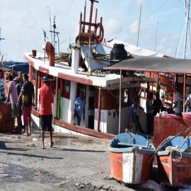 'Desilusionan' pesquerías de la langosta y el pulpo