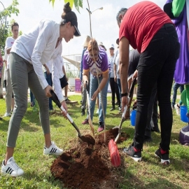 Alumnos de escuelas primarias estatales contribuyen a la reforestación de Yucatán con la estrategia “Un niño, un árbol”