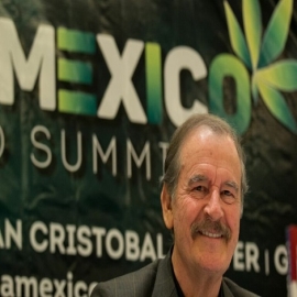 En rancho Fox se cabildearon los permisos de Cofepris sobre marihuana