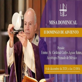 El Papa concede indulgencia plenaria a quienes celebren desde casa a Virgen de Guadalupe