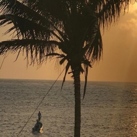 Pescadores de Cozumel pierden a mitad de su producción con el Covid-19