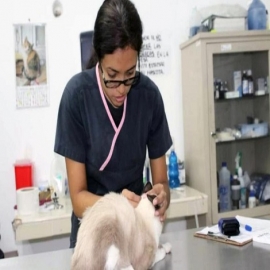 Módulo Veterinario del Ayuntamiento de Mérida reabre sus puertas