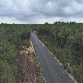 Cancún: Organizaciones ambientales e indígenas frenan tramos del Tren Maya