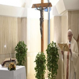 Papa Francisco pide rezar al Señor para encontrar con creatividad caminos en esta pandemia