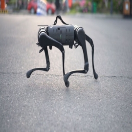 Un francotirador diseñado para patrullar y matar: Cómo son los perros robots que fabrica el régimen chino
