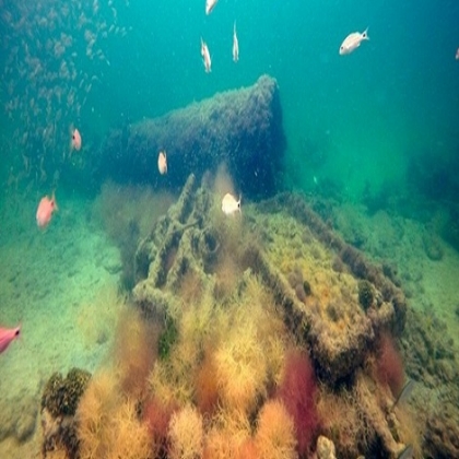 Identifican en sisal los restos del vapor “La Unión”, el primer barco usado para el tráfico de esclavos mayas