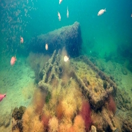 Identifican en sisal los restos del vapor “La Unión”, el primer barco usado para el tráfico de esclavos mayas