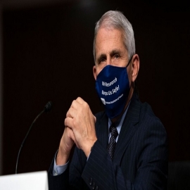 Fauci se equivocó: Los estados libres están mejor que los estados dirigidos por los demócratas