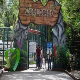 Cómo festejar a los niños en su día y no enfermarse en el intento